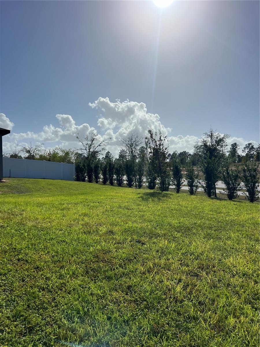 Image 52 of 94 For 2321 Mystic Maze Lane