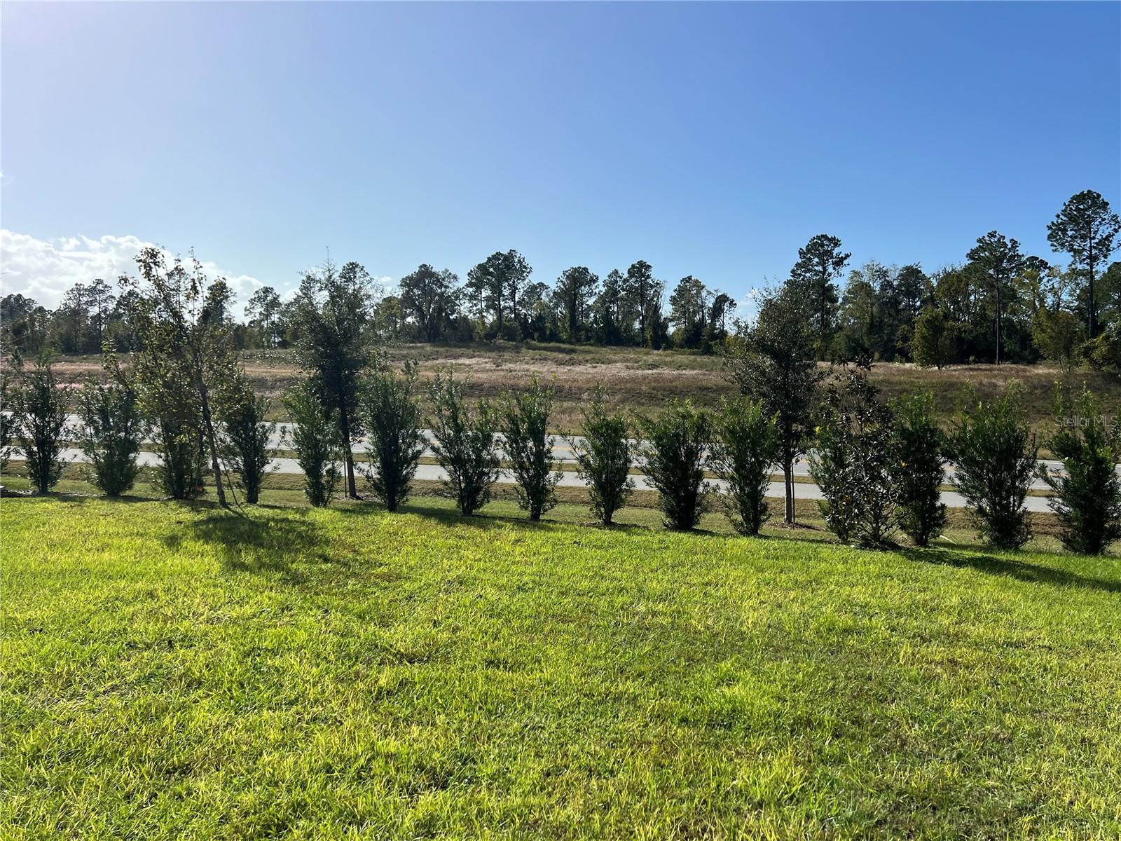 Image 53 of 94 For 2321 Mystic Maze Lane