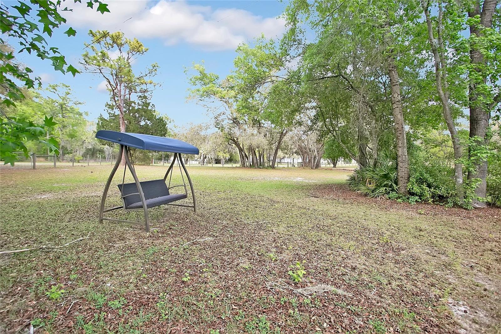 Listing photo id 22 for 3116 Buck  