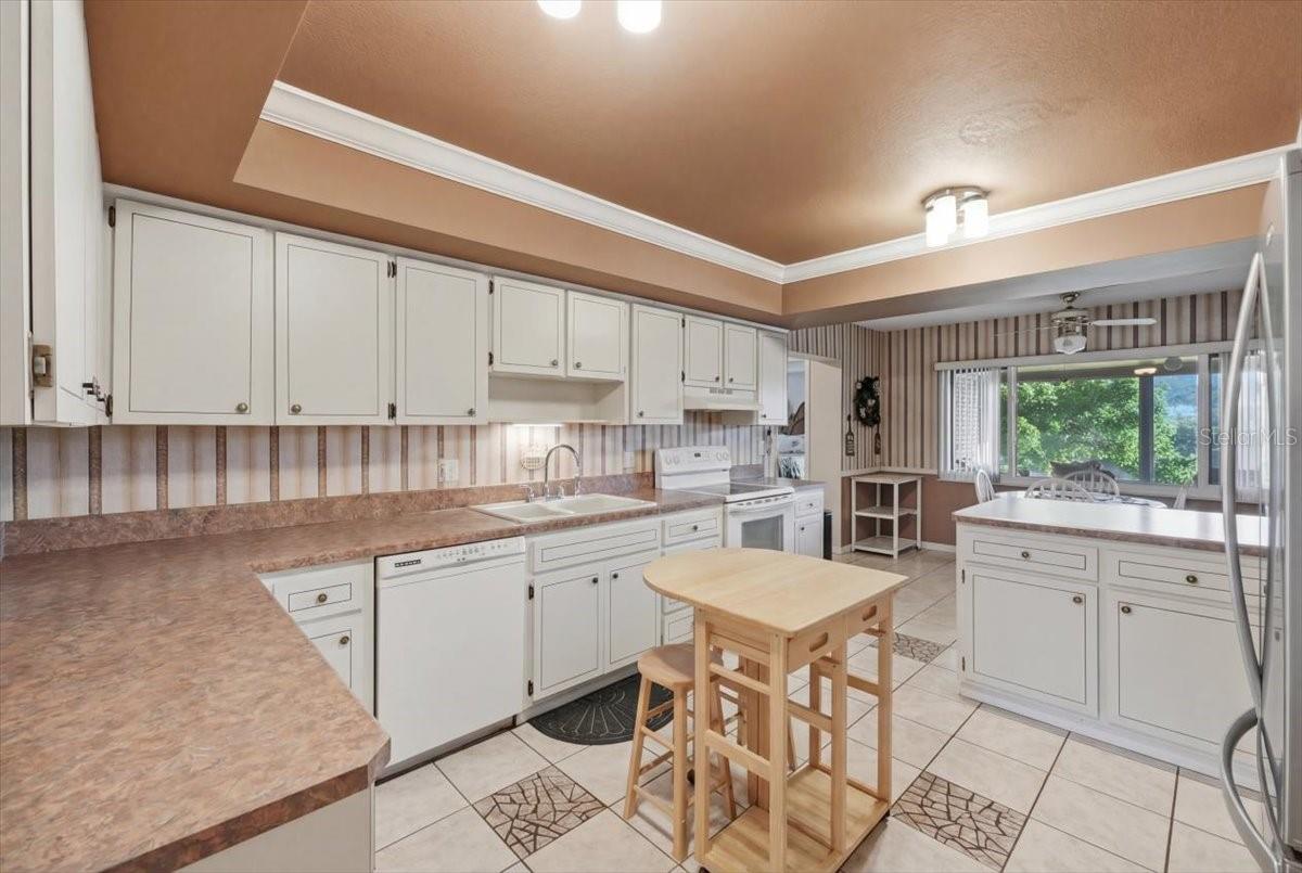 Image 30 of 61 For 236 W Lake Ina Drive