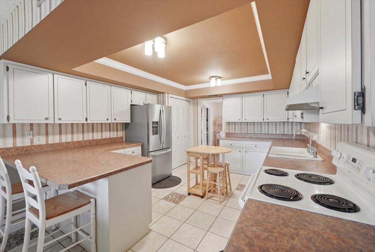 Image 32 of 61 For 236 W Lake Ina Drive