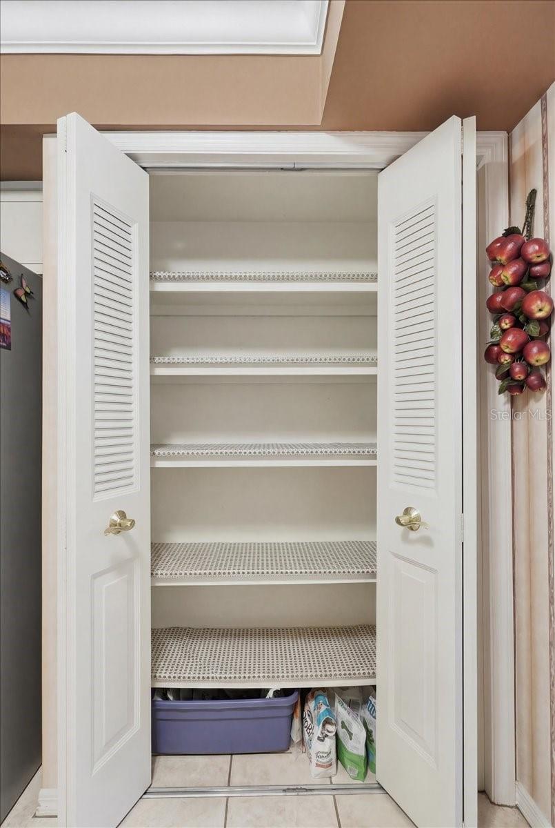 Image 33 of 61 For 236 W Lake Ina Drive