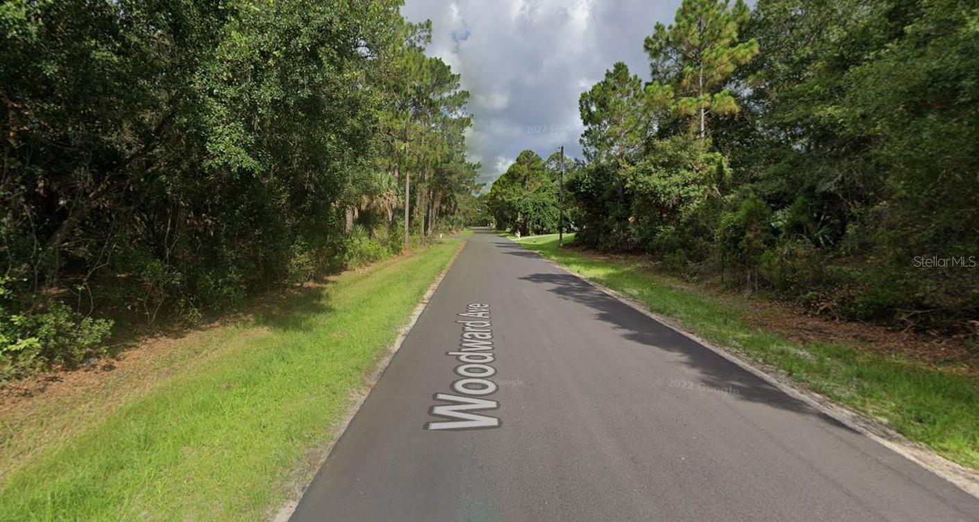 Listing photo id 2 for Woodward Avenue