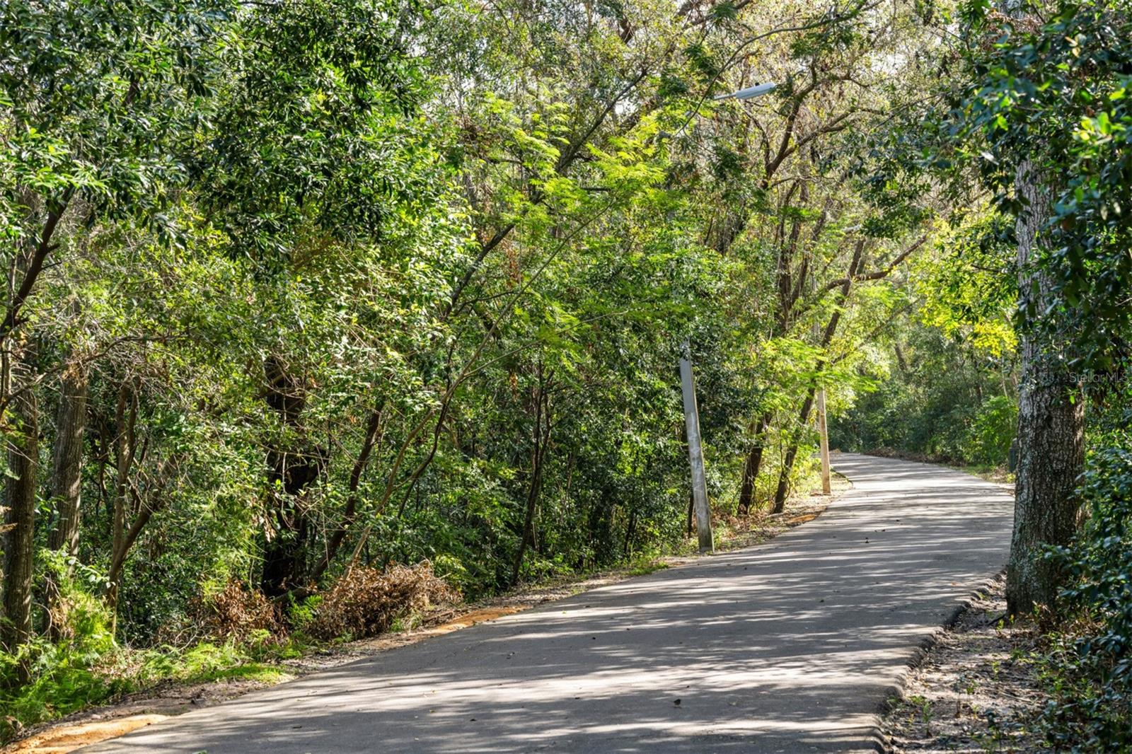 Image 12 of 13 For 125 Greenhouse Grove Street