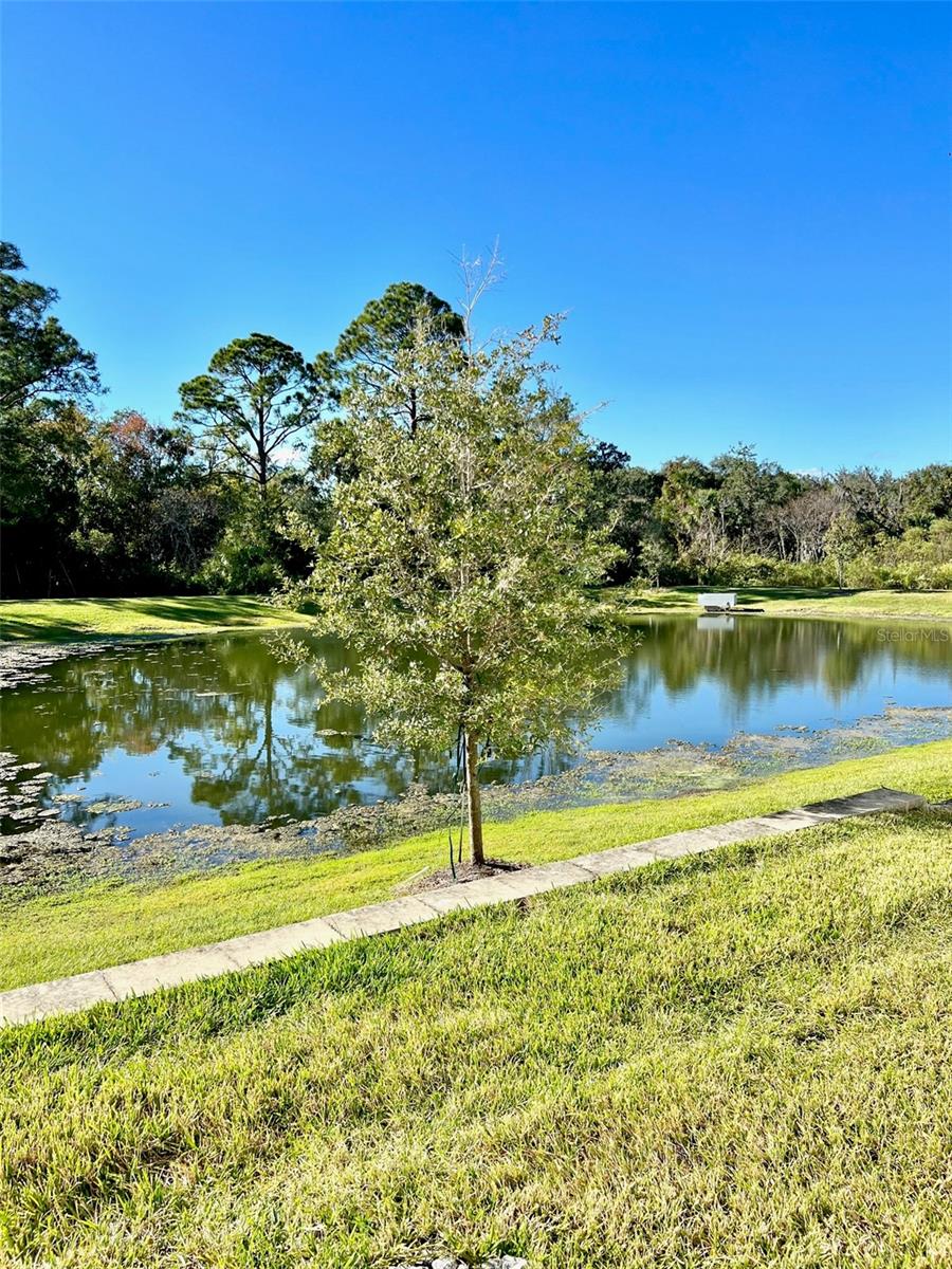 Image 28 of 28 For 1398 Captiva Cove