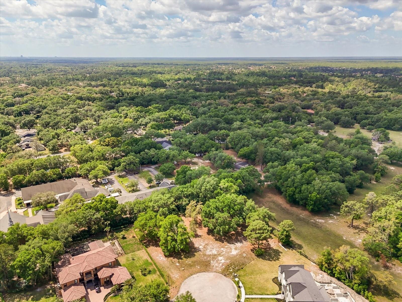 Image 6 of 7 For 1657 Enclave Cove