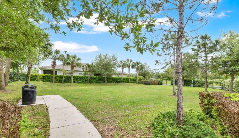 Image 22 of 38 For 2303 Datura Loop