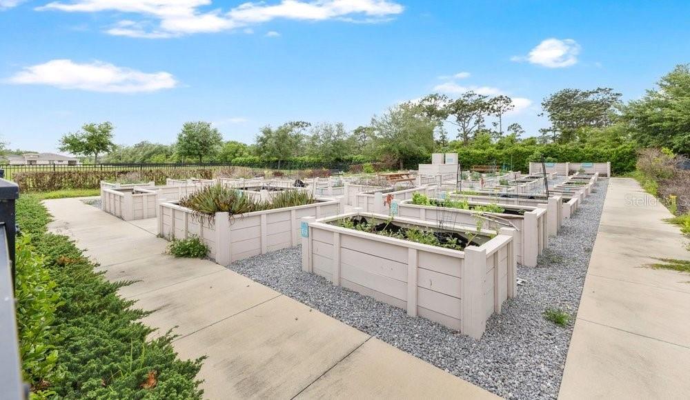 Image 23 of 38 For 2303 Datura Loop