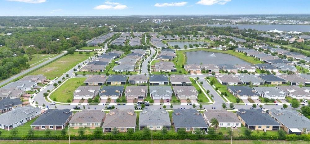 Image 26 of 38 For 2303 Datura Loop