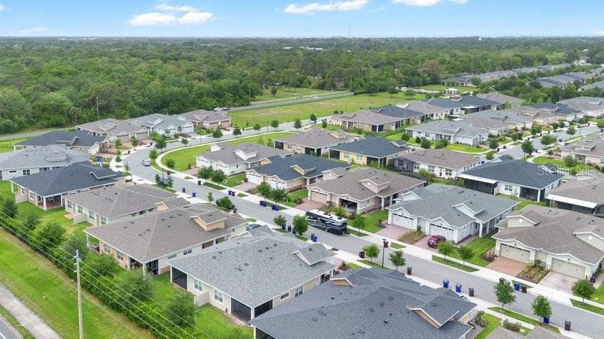 Image 27 of 38 For 2303 Datura Loop