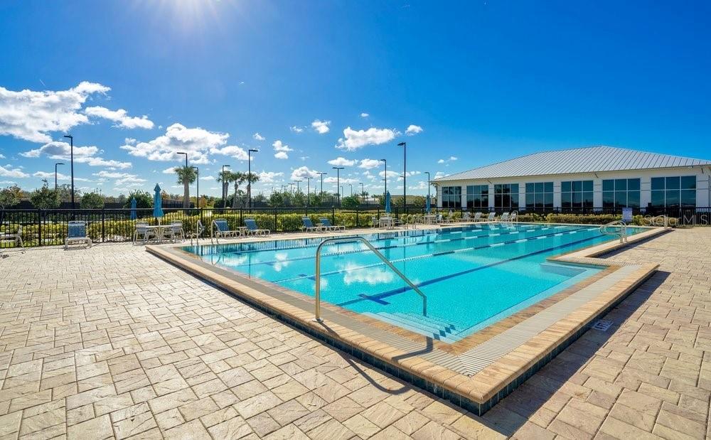 Image 29 of 38 For 2303 Datura Loop