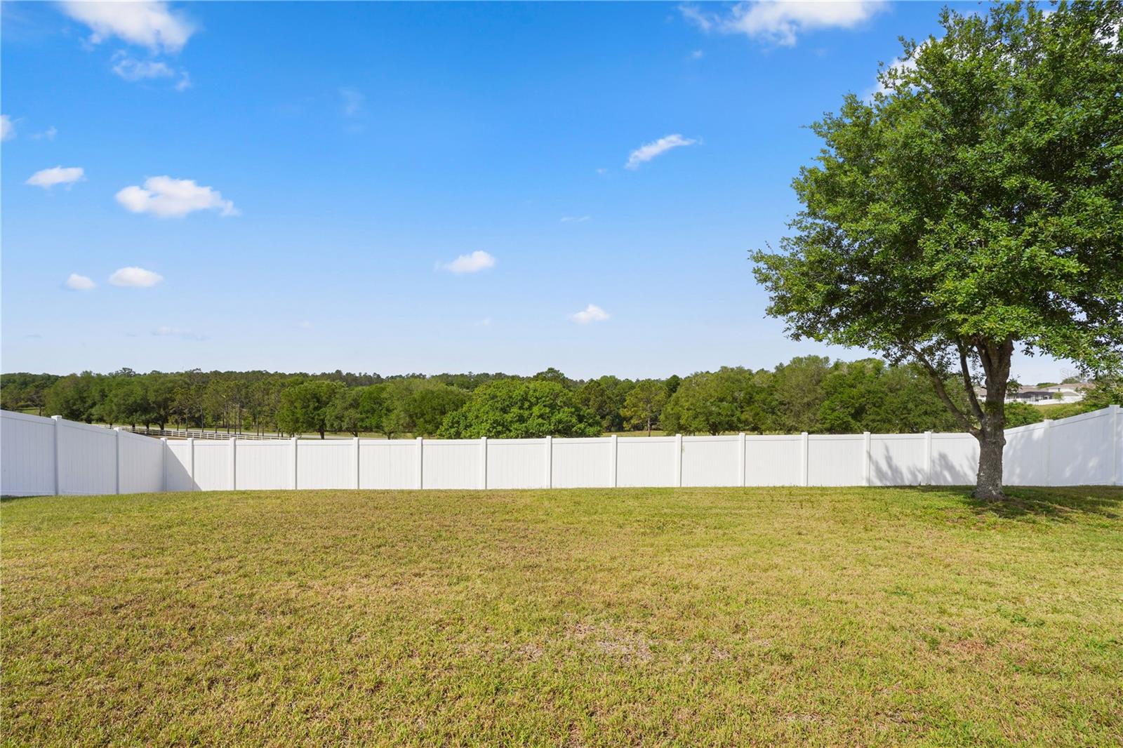 Image 36 of 48 For 222 Blackstone Creek Road