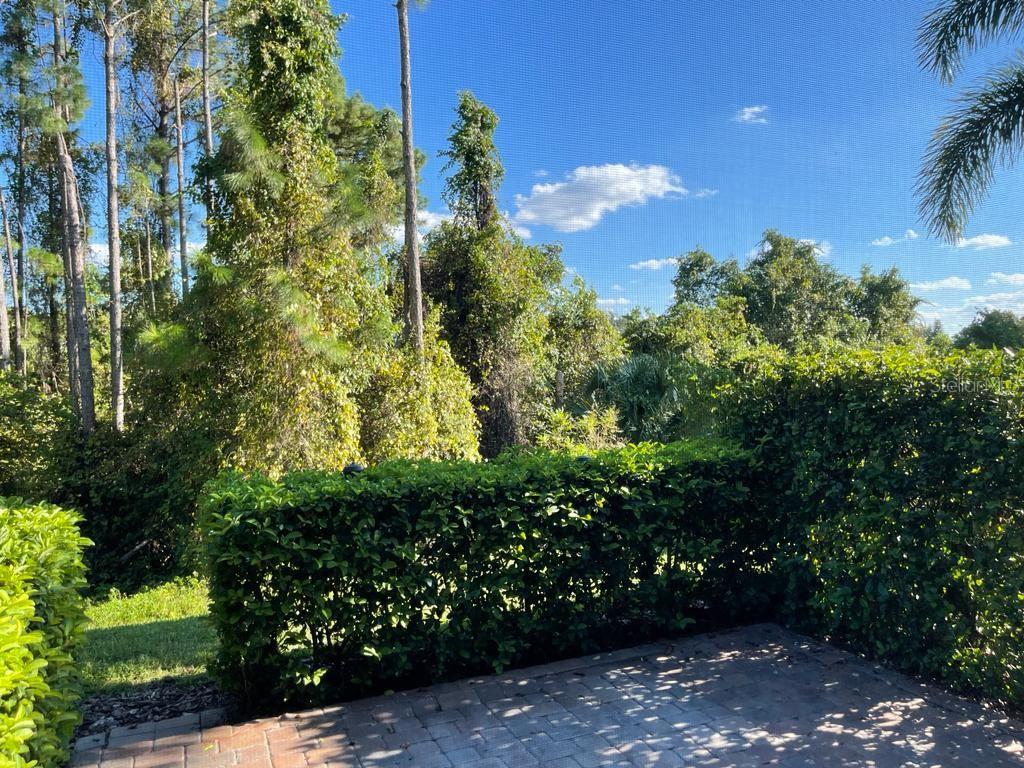 Image 14 of 39 For 3153 Capri Isle Way