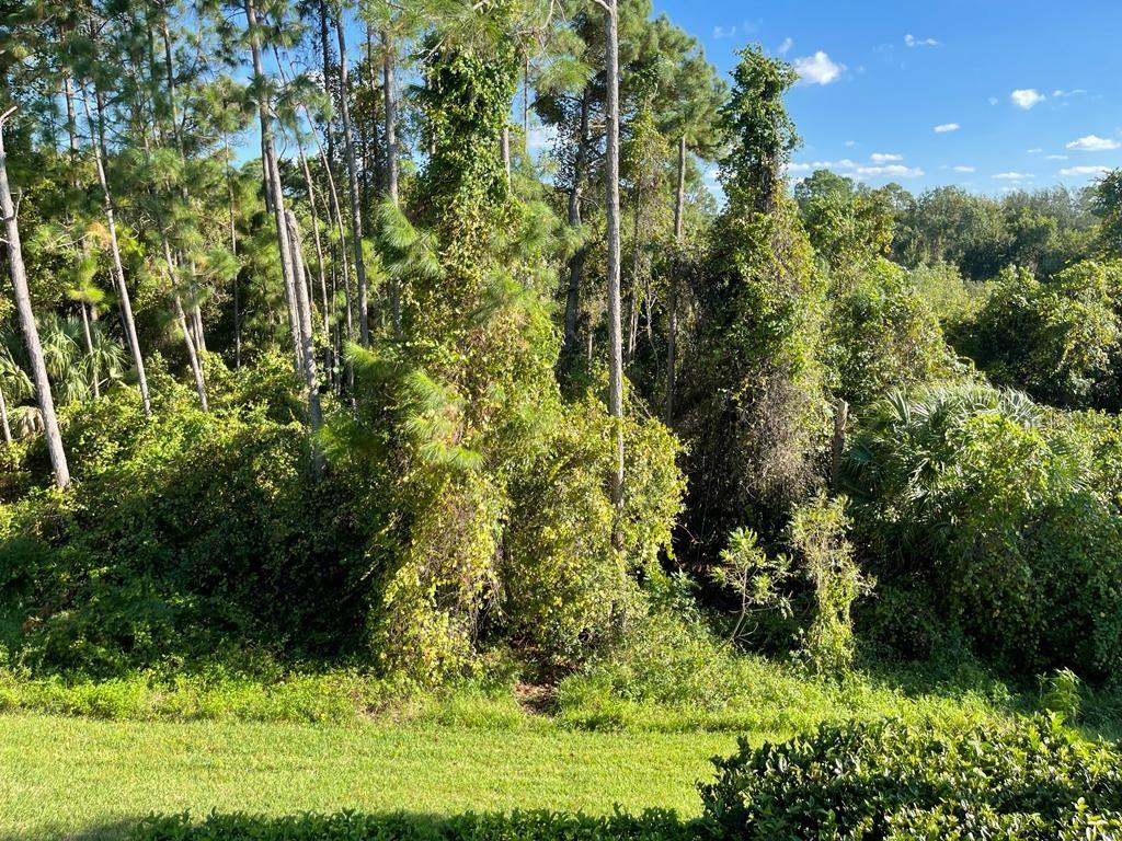 Image 15 of 39 For 3153 Capri Isle Way