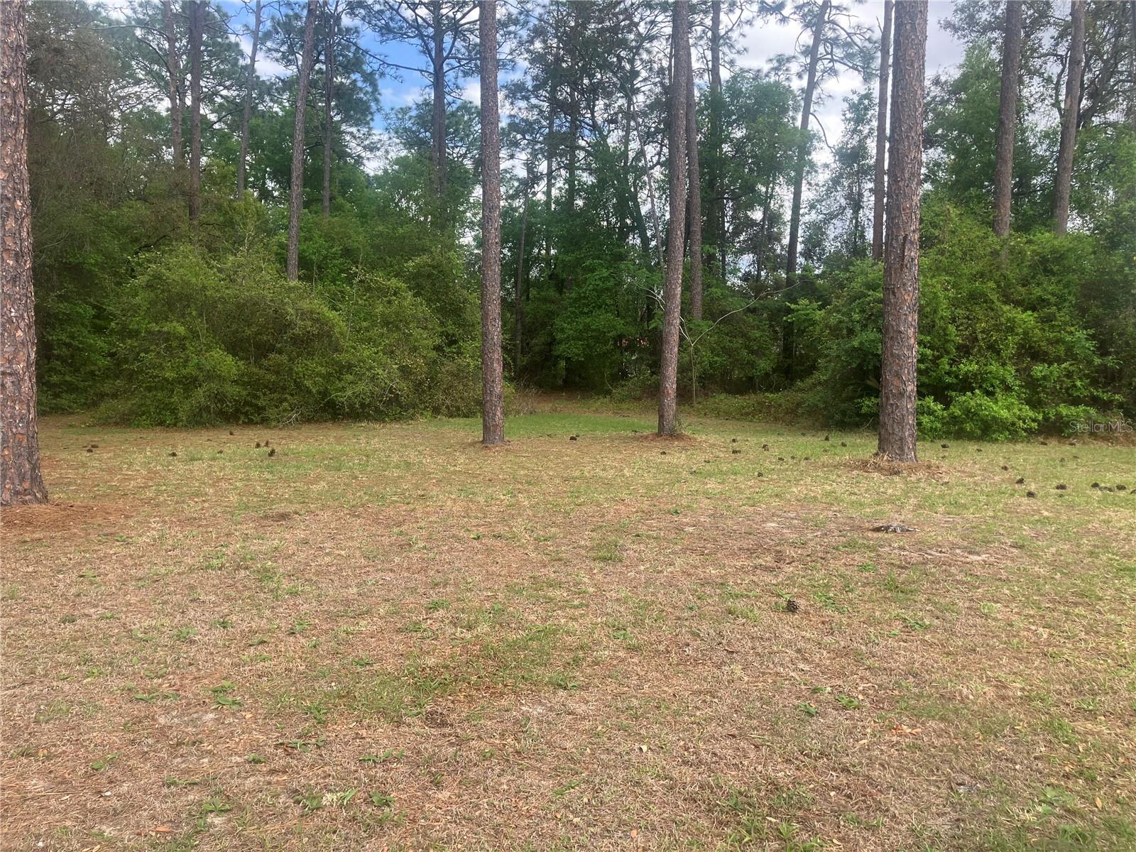 Image 4 of 11 For Se 19th Place Se 19th Place