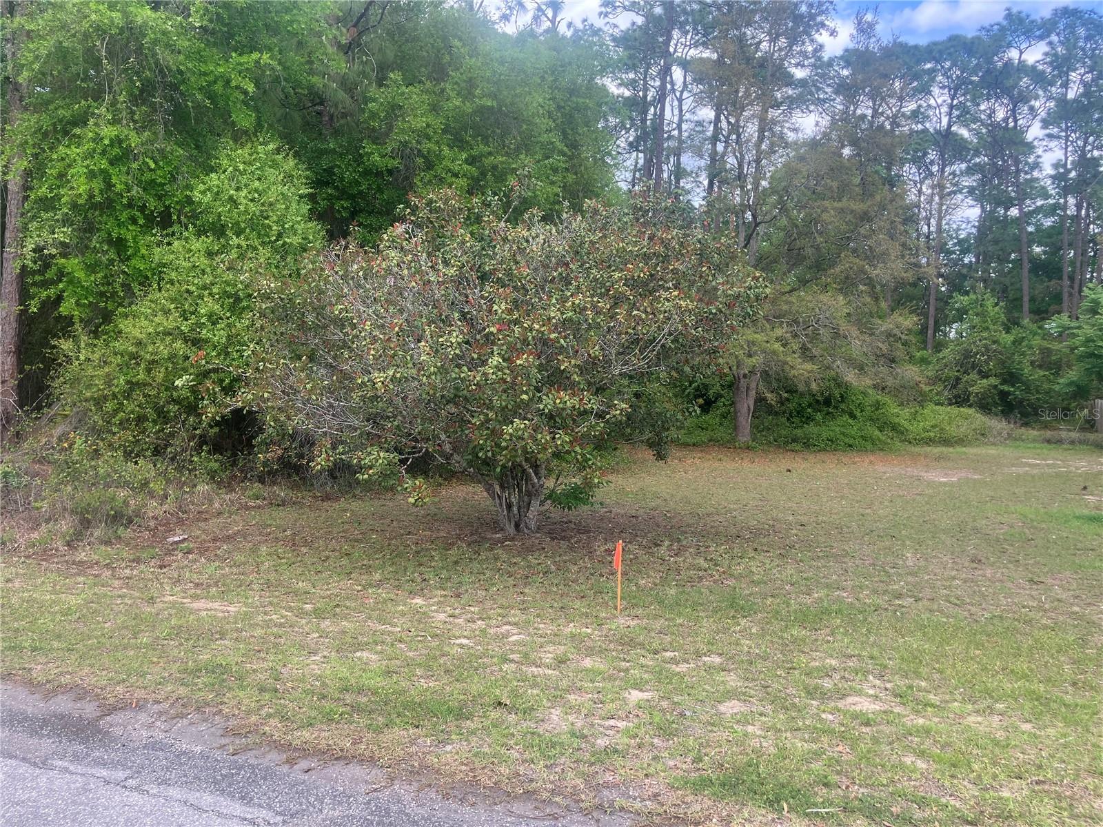 Image 9 of 11 For Se 19th Place Se 19th Place