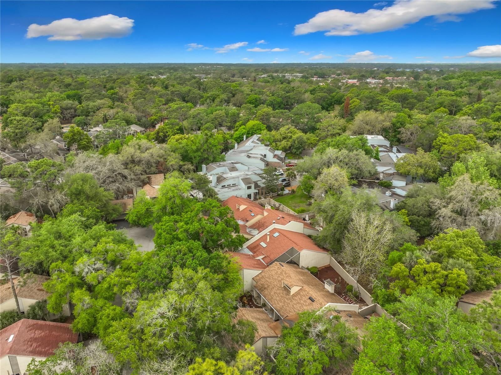 Image 2 of 58 For 207 Weeping Elm Lane