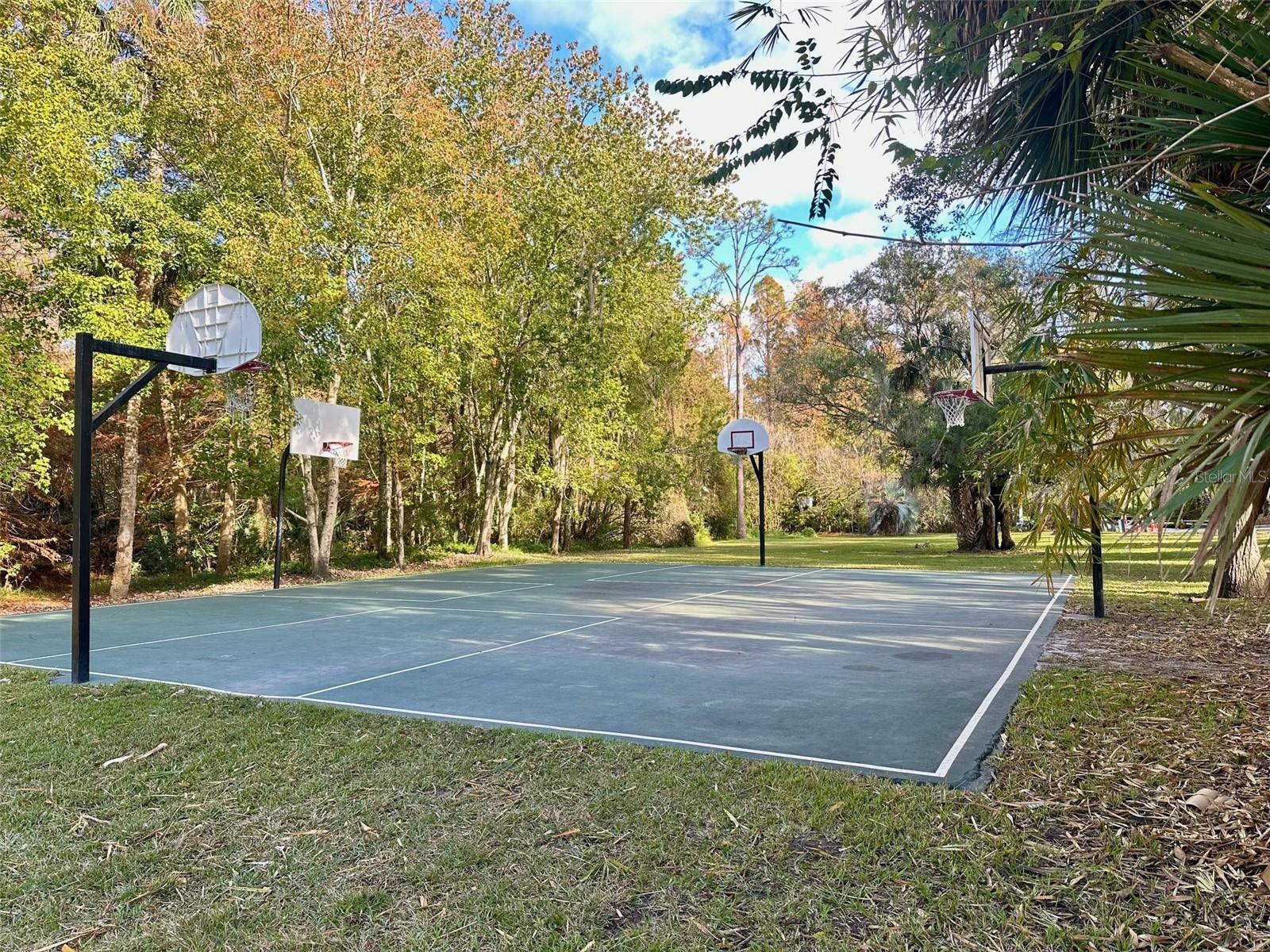 Image 47 of 58 For 207 Weeping Elm Lane