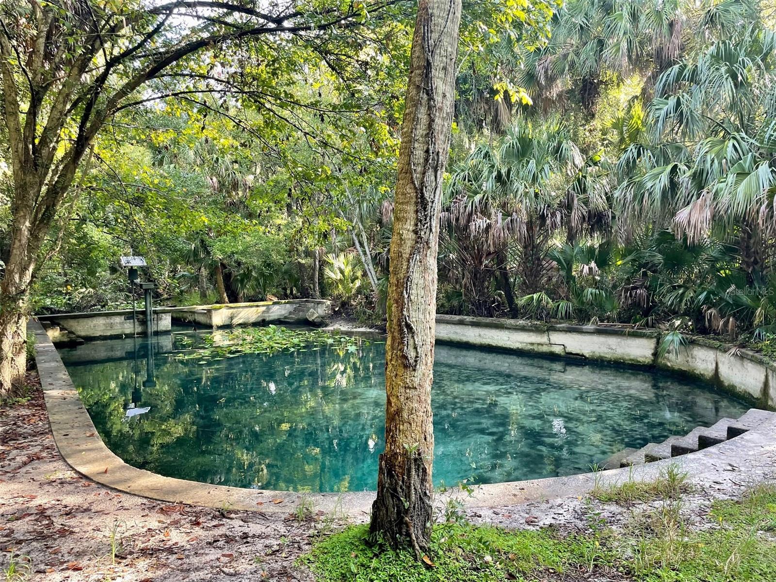 Image 56 of 58 For 207 Weeping Elm Lane