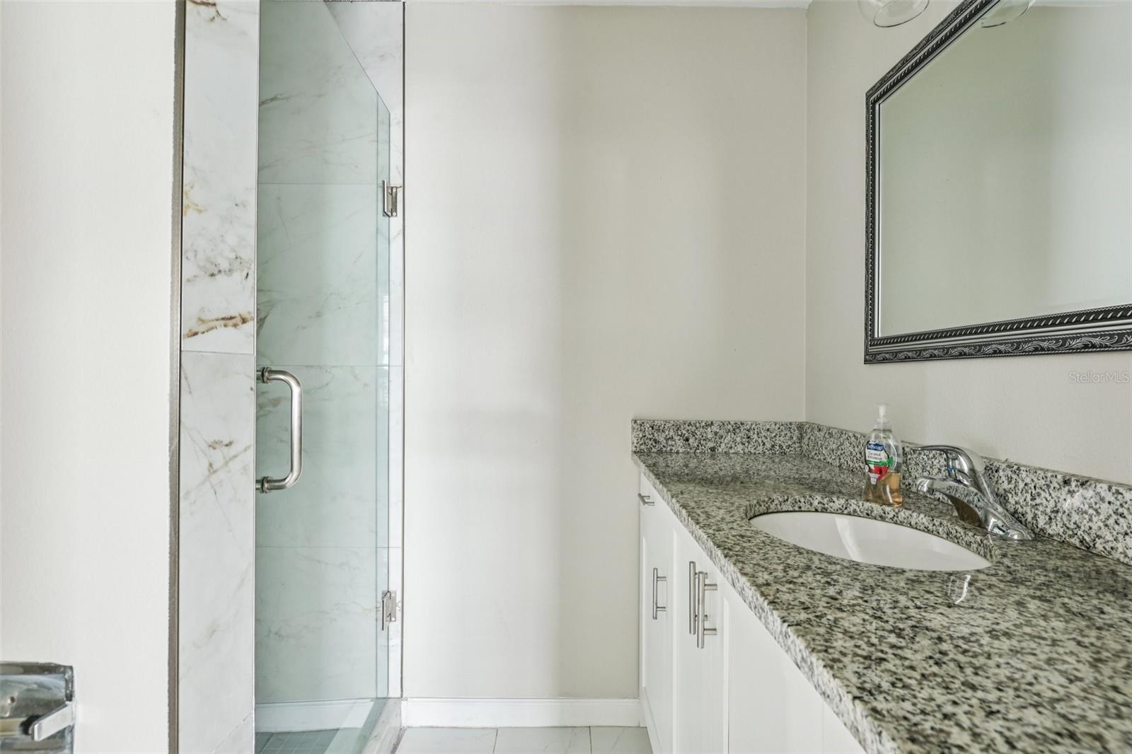 Image 11 of 17 For 801 Montrose Street C