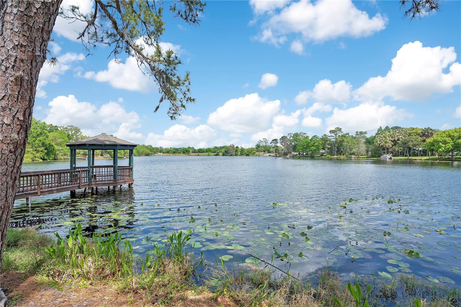 Image 65 of 74 For 320 Remington Drive