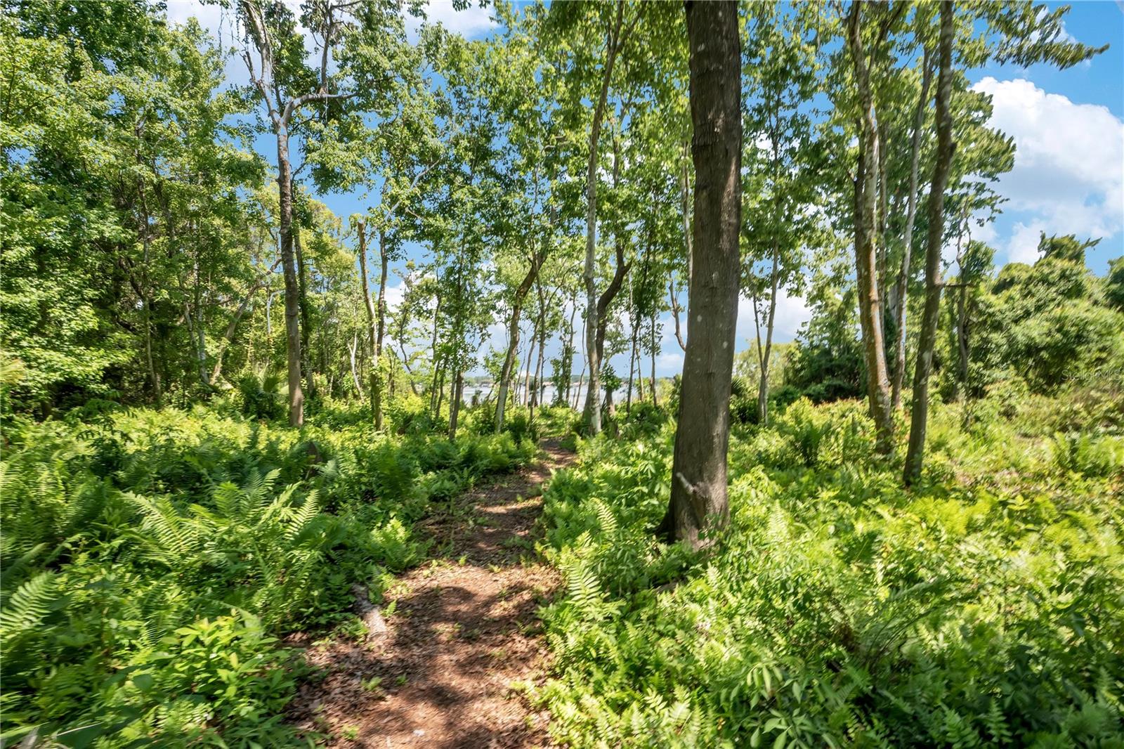 Image 10 of 16 For 3501 Westmoreland Drive