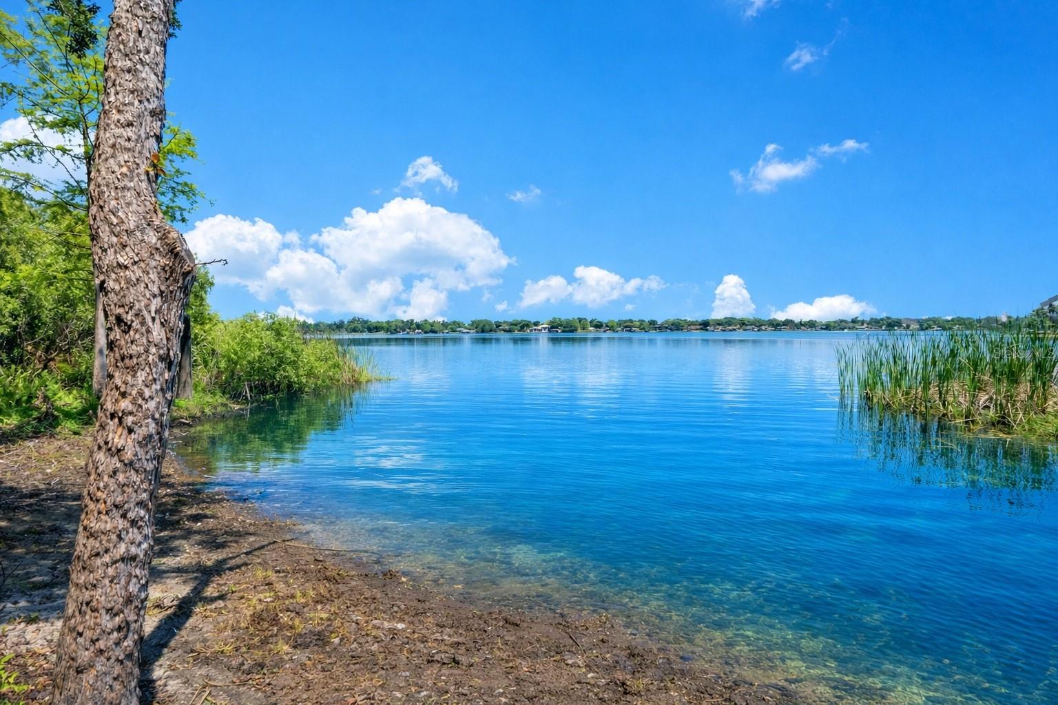 Image 11 of 16 For 3501 Westmoreland Drive