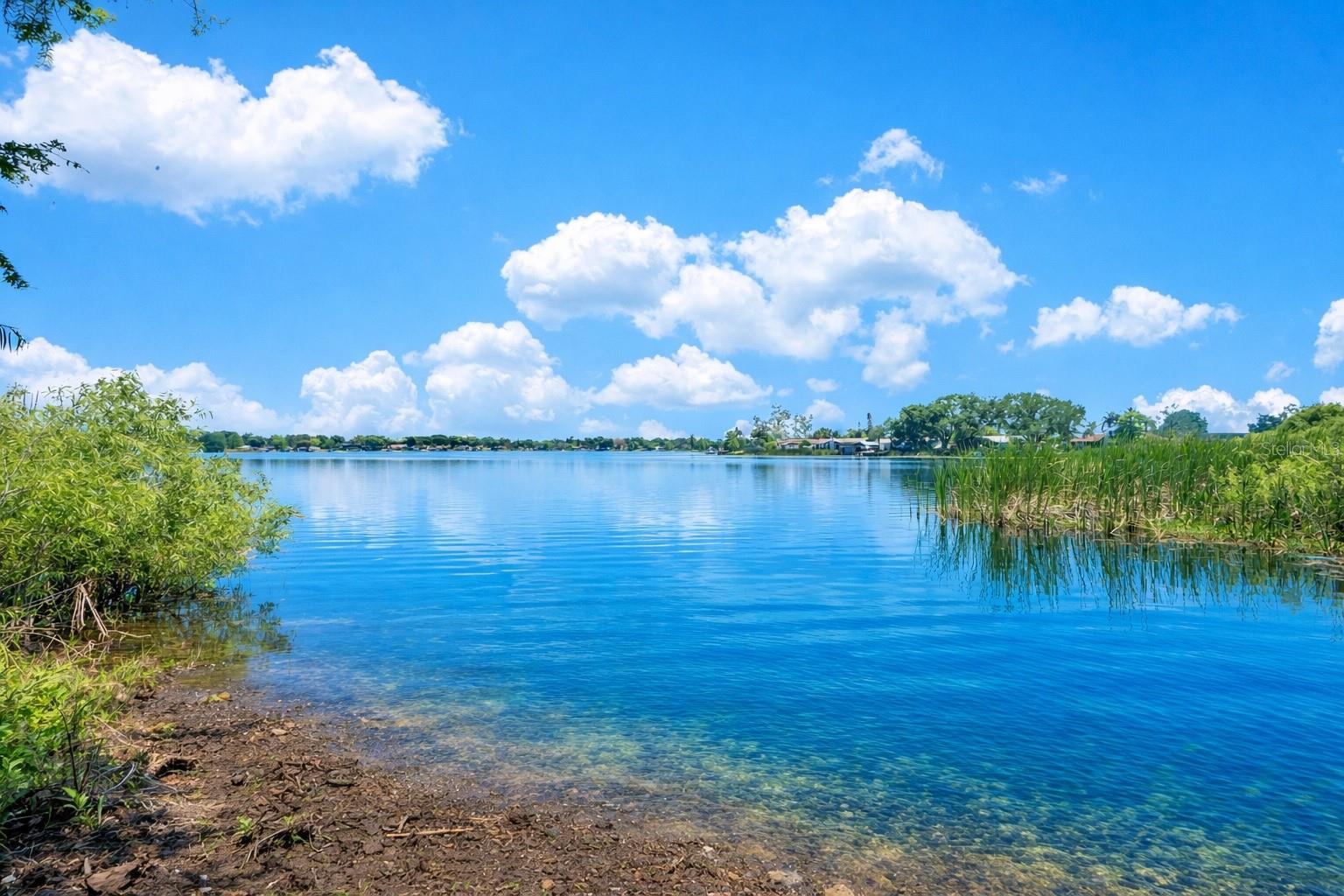 Image 12 of 16 For 3501 Westmoreland Drive