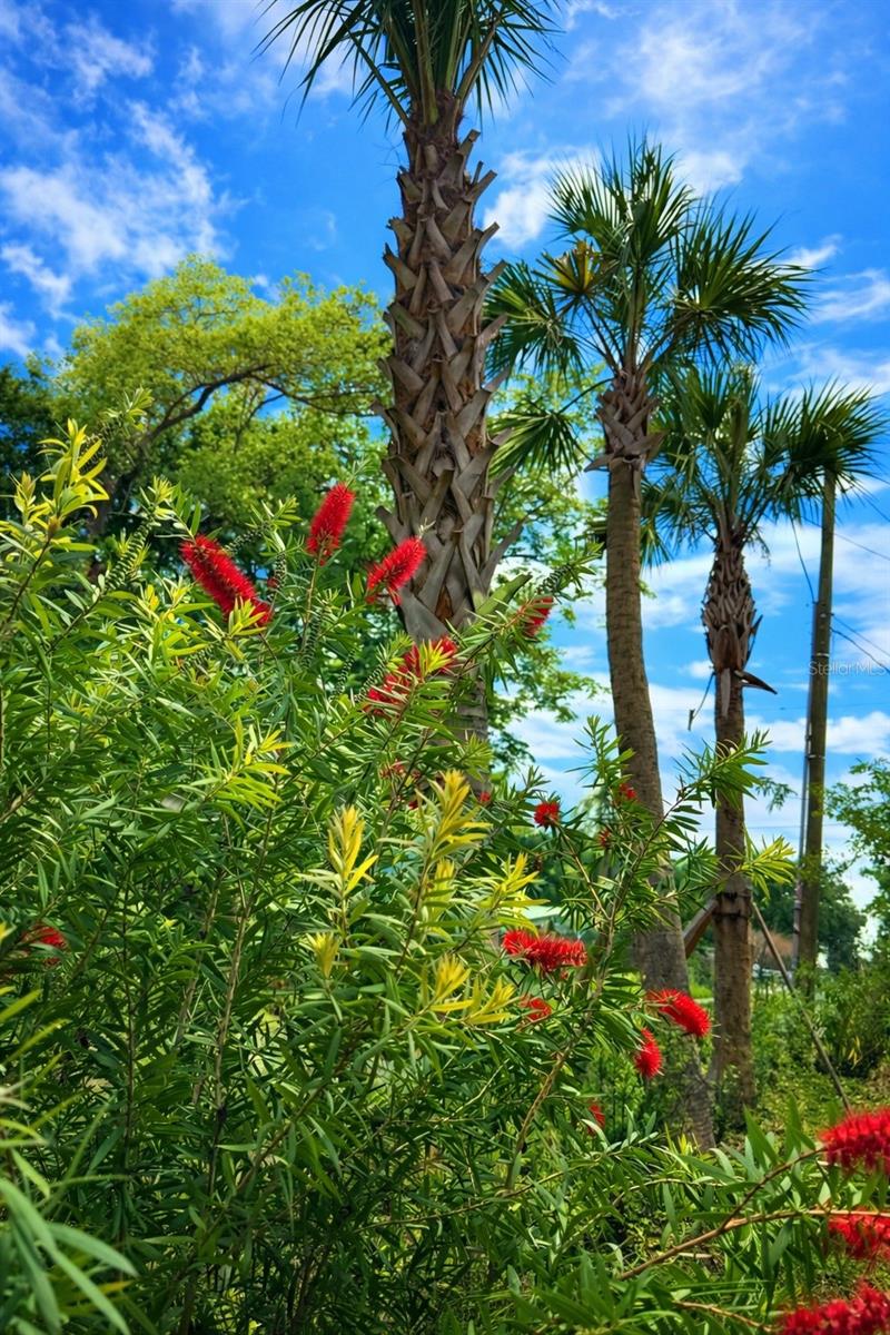 Image 13 of 16 For 3501 Westmoreland Drive