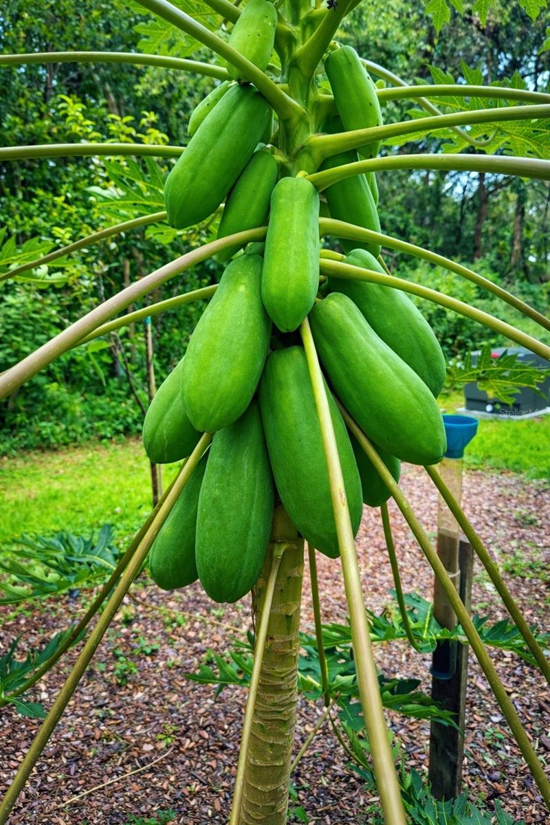 Image 15 of 16 For 3501 Westmoreland Drive