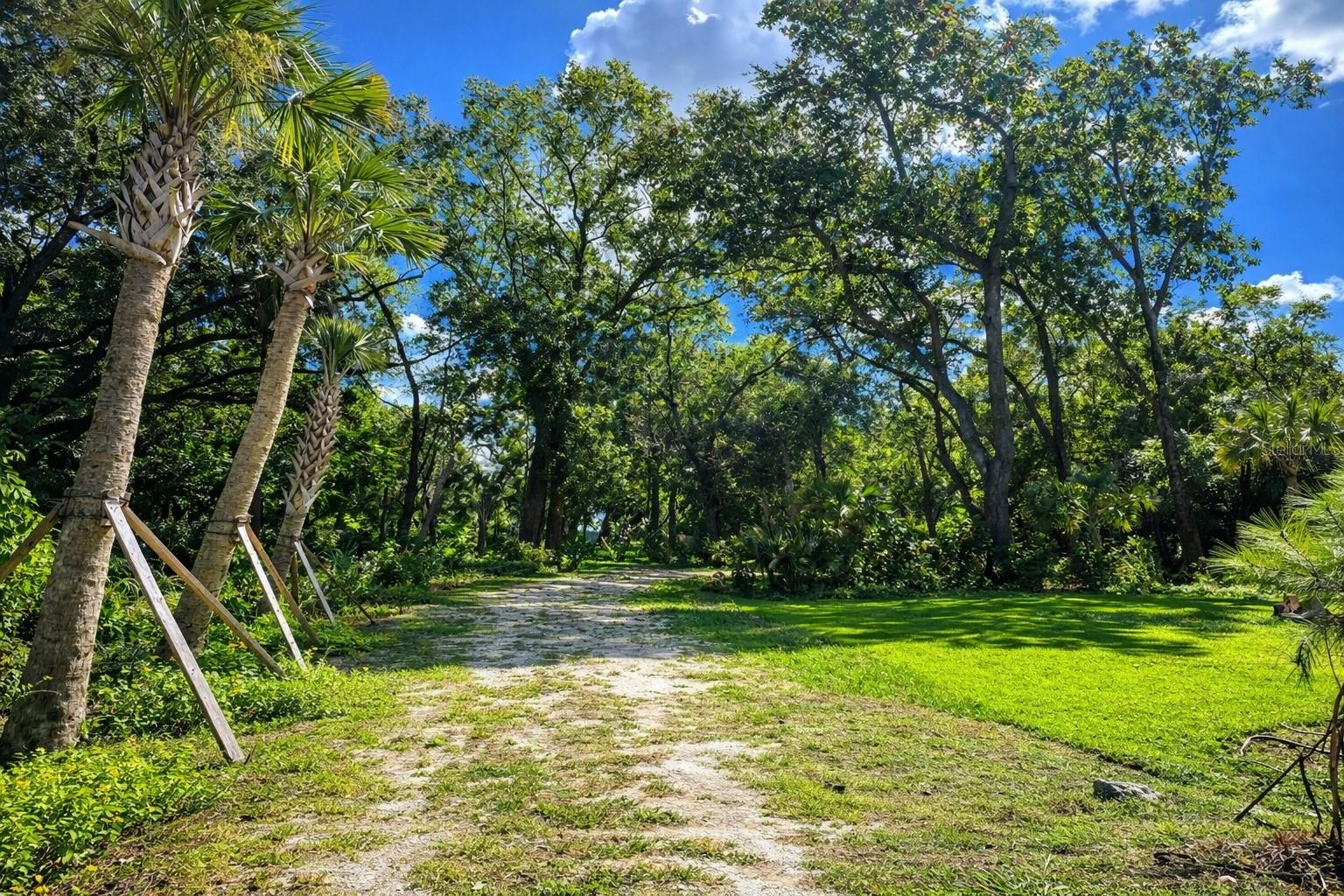 Image 5 of 16 For 3501 Westmoreland Drive