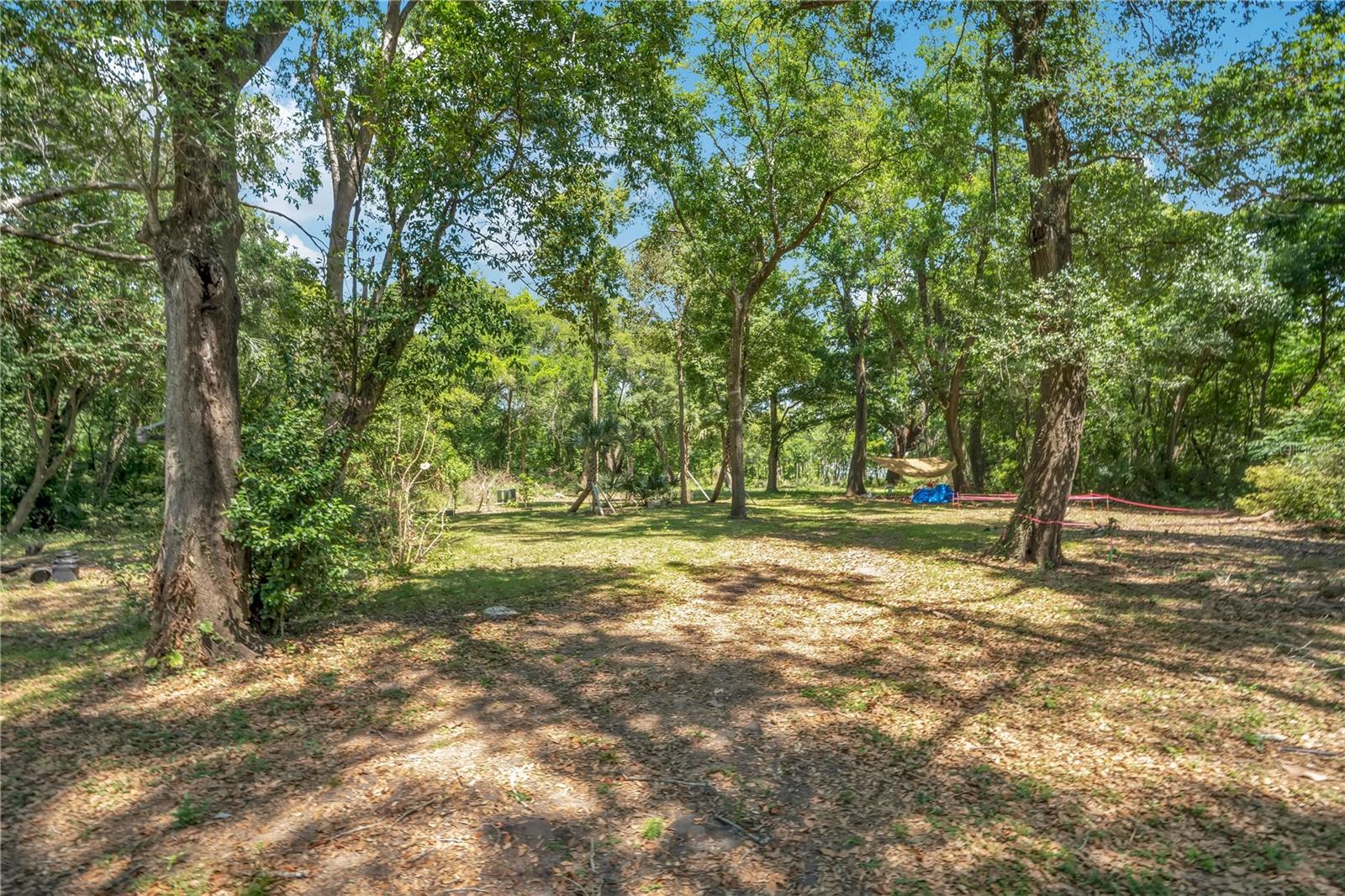 Image 6 of 16 For 3501 Westmoreland Drive