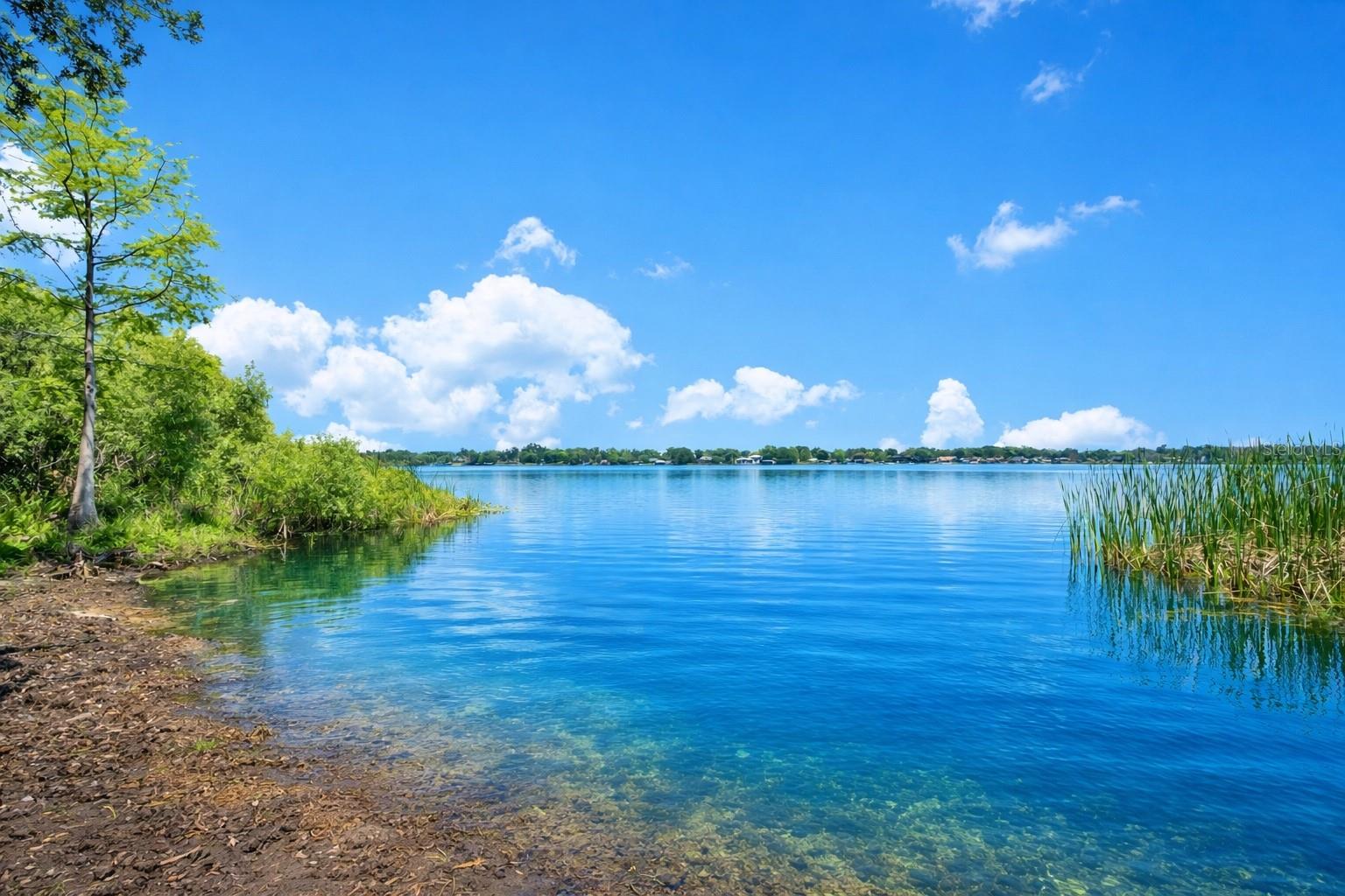 Image 7 of 16 For 3501 Westmoreland Drive