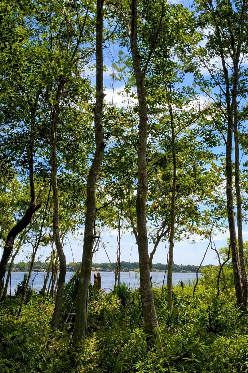 Image 9 of 16 For 3501 Westmoreland Drive