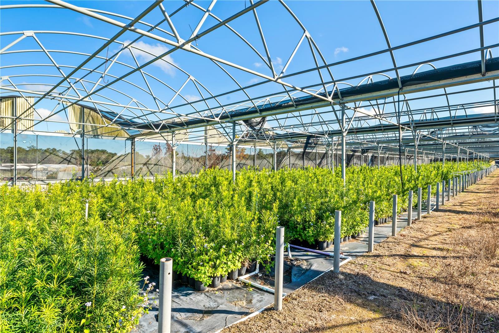 Image 31 of 34 For 4004 Rex Drive