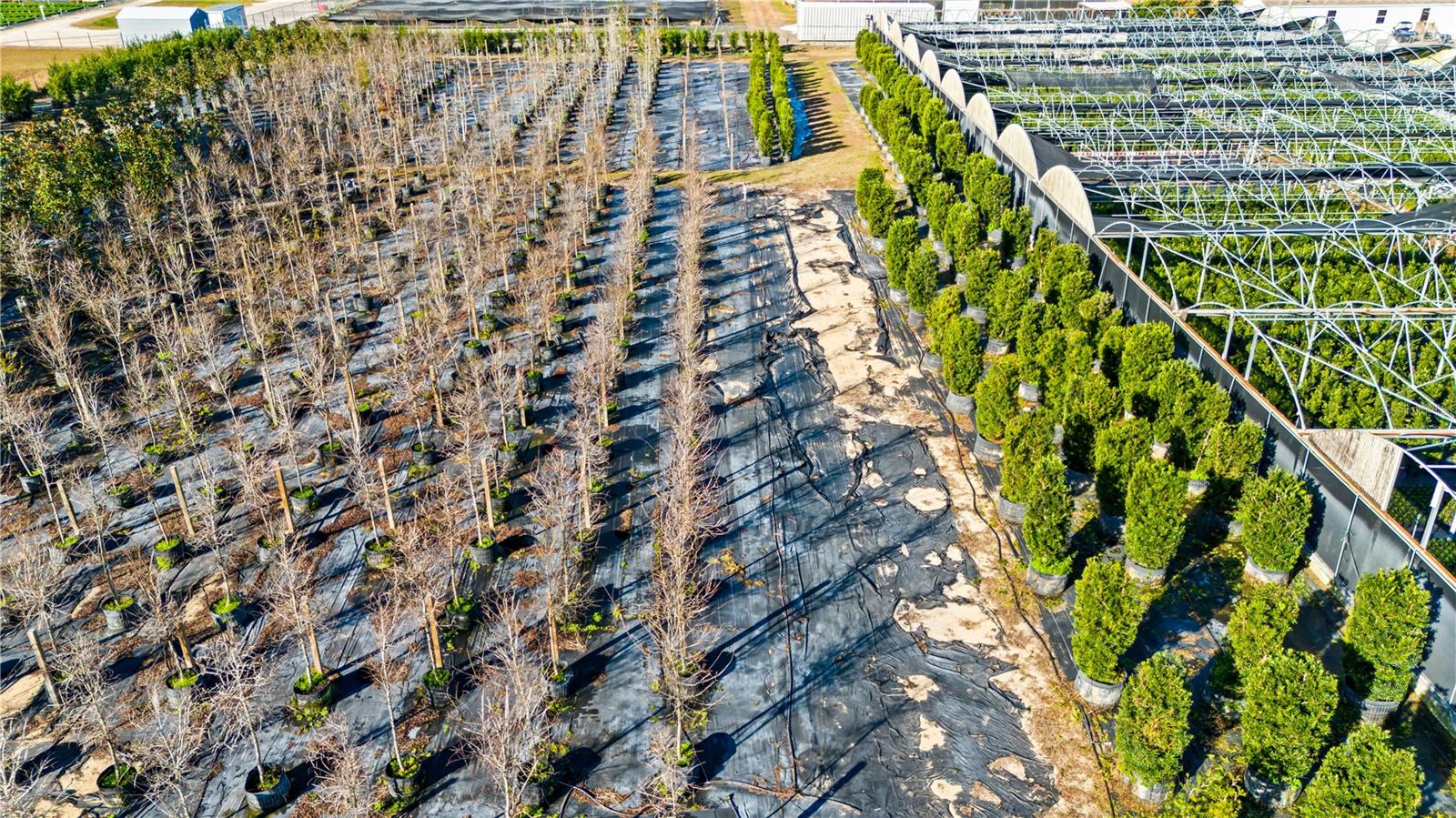 Image 5 of 34 For 4004 Rex Drive