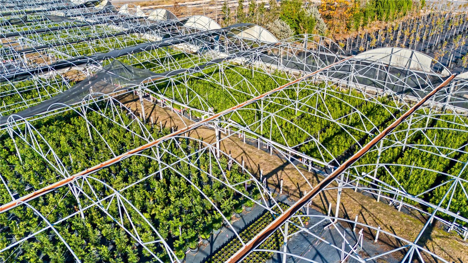 Image 6 of 34 For 4004 Rex Drive