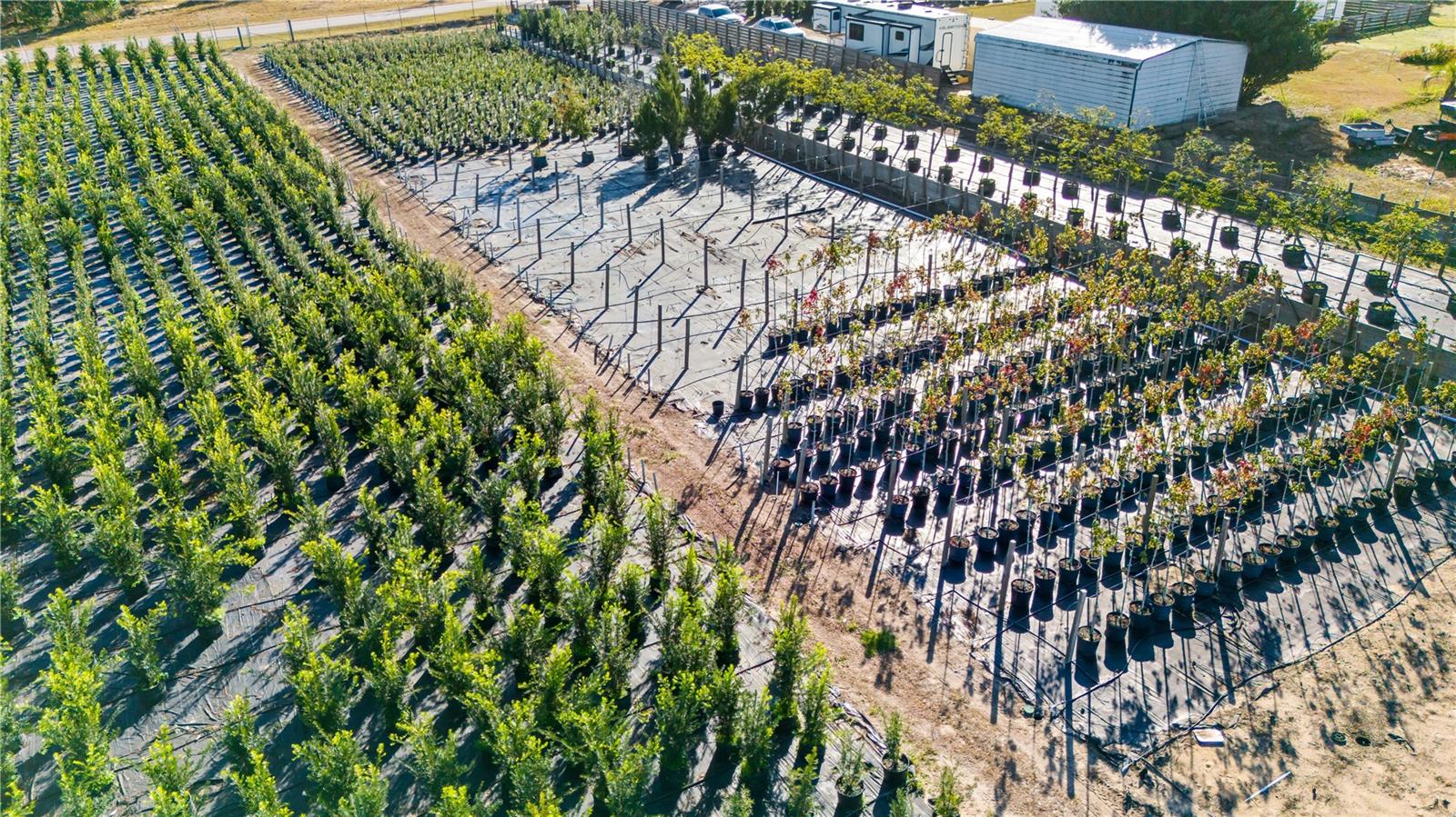 Image 7 of 34 For 4004 Rex Drive