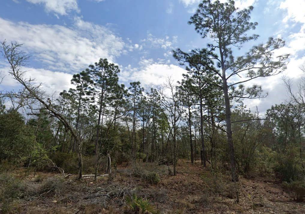 Details for  Park Street , INTERLACHEN, FL 32148