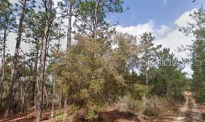 Details for Akron Street, INTERLACHEN, FL 32148