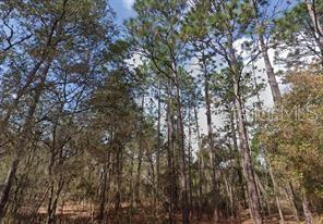 Image 2 of 3 For Akron Street