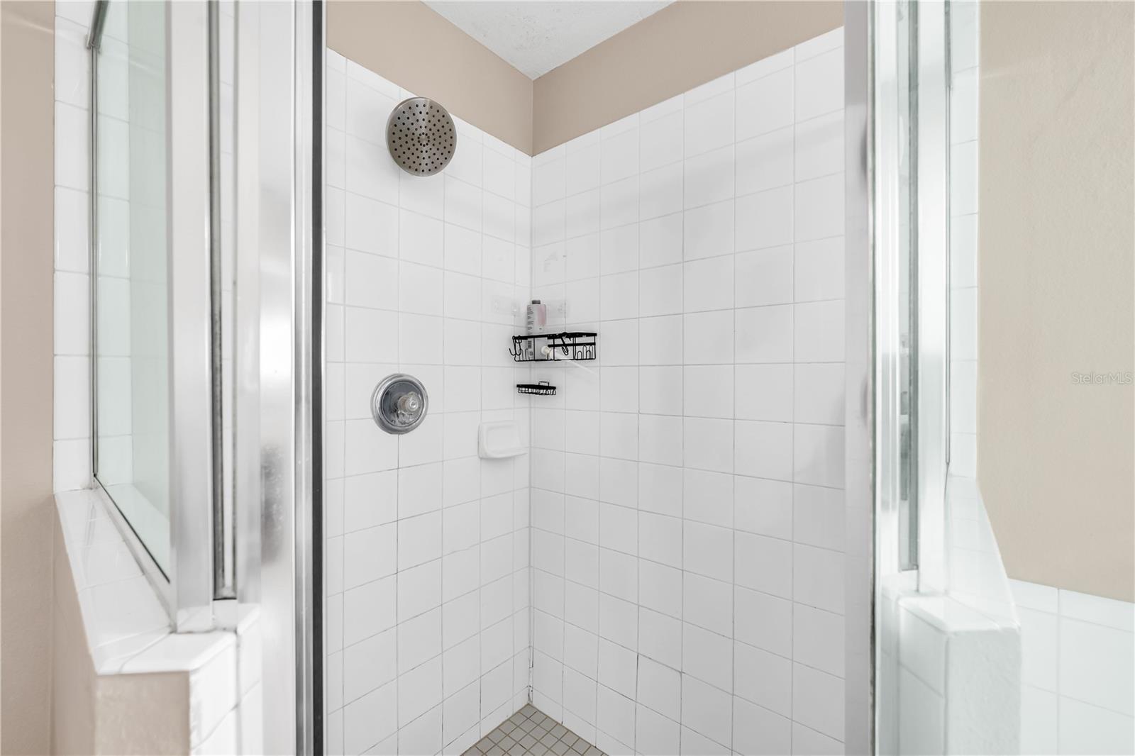 Image 30 of 38 For 385 Briar Bay Circle