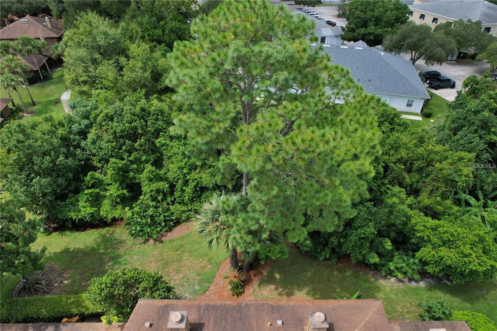 Image 31 of 33 For 112 Heron Bay Circle