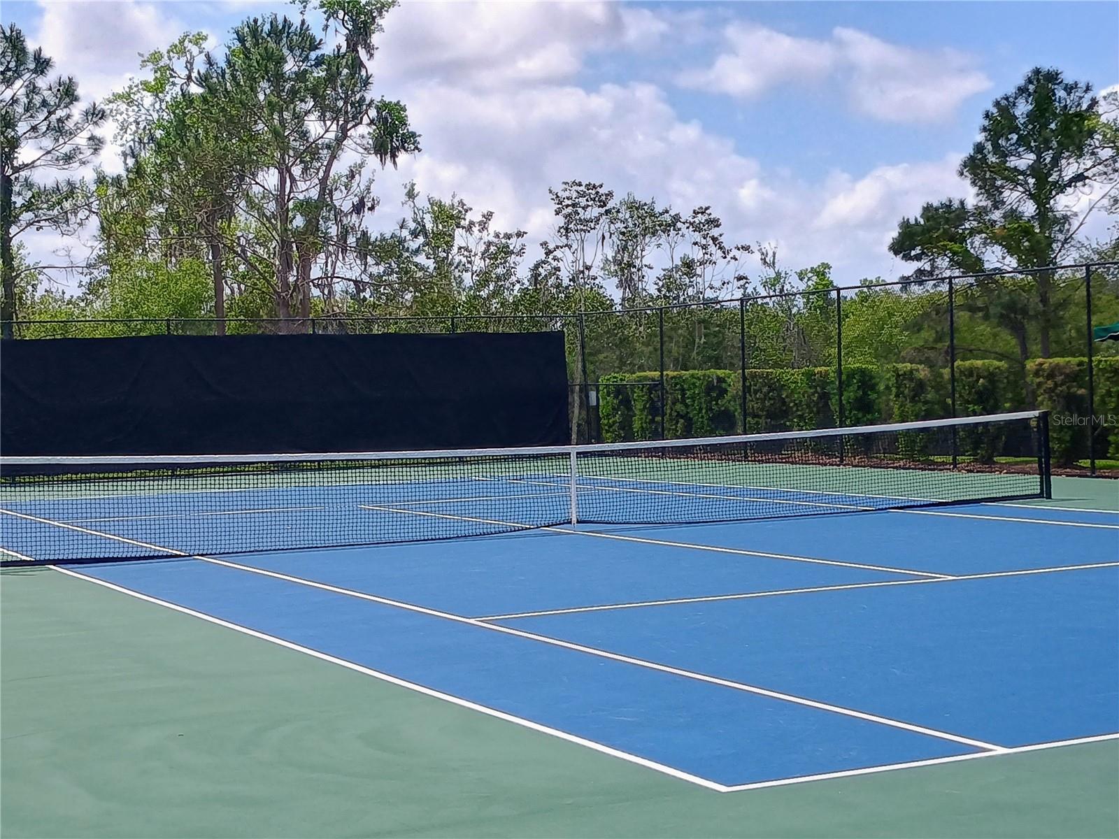 Image 22 of 51 For 14084 Bridgewater Crossings Boulevard