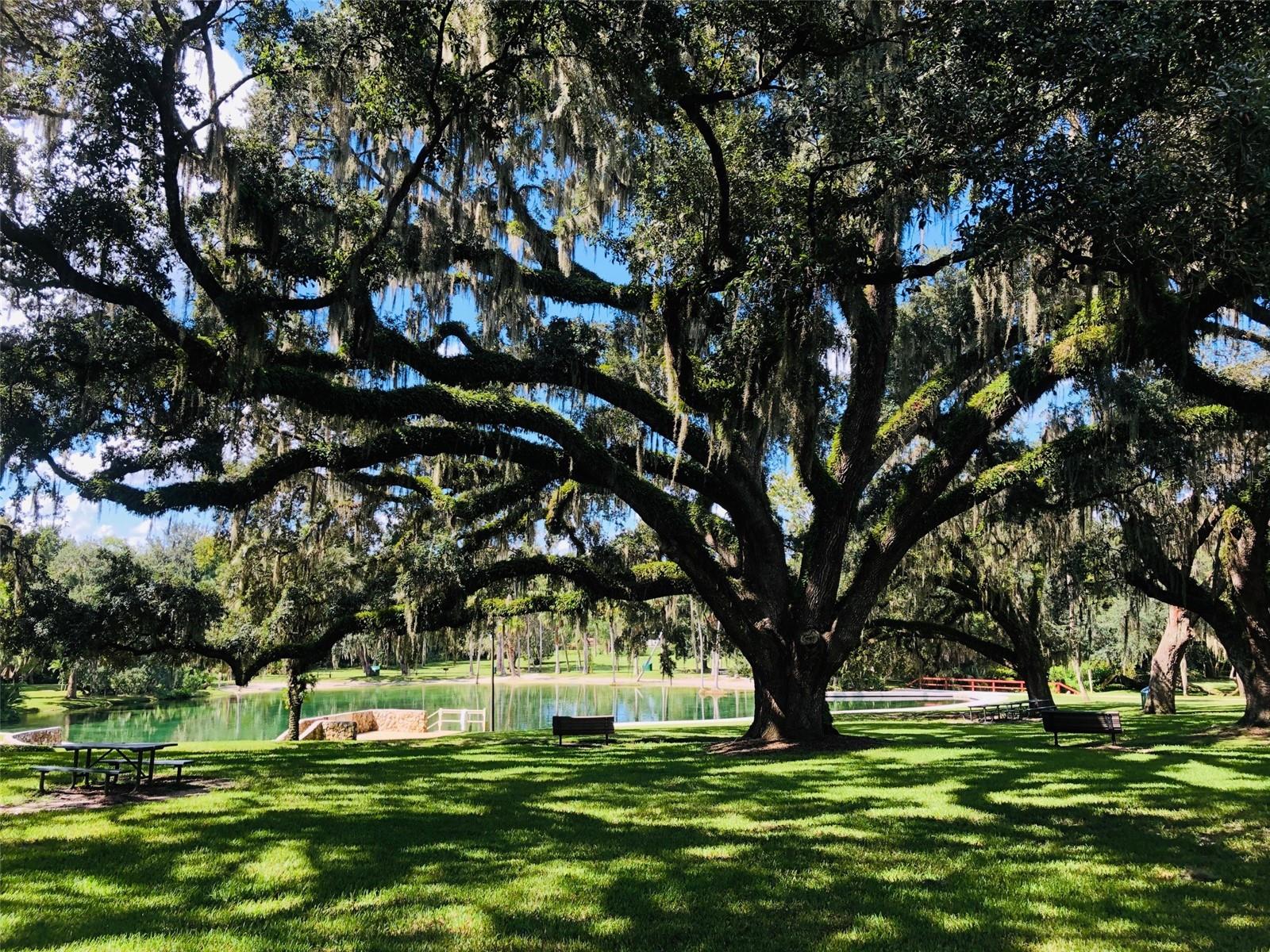 Image 36 of 57 For 233 Crown Oaks Way 233