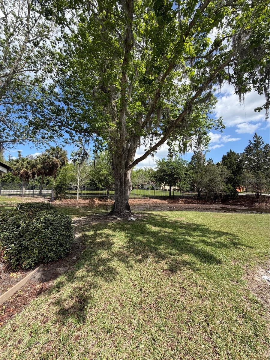 Image 16 of 17 For 441 Prestwick Place