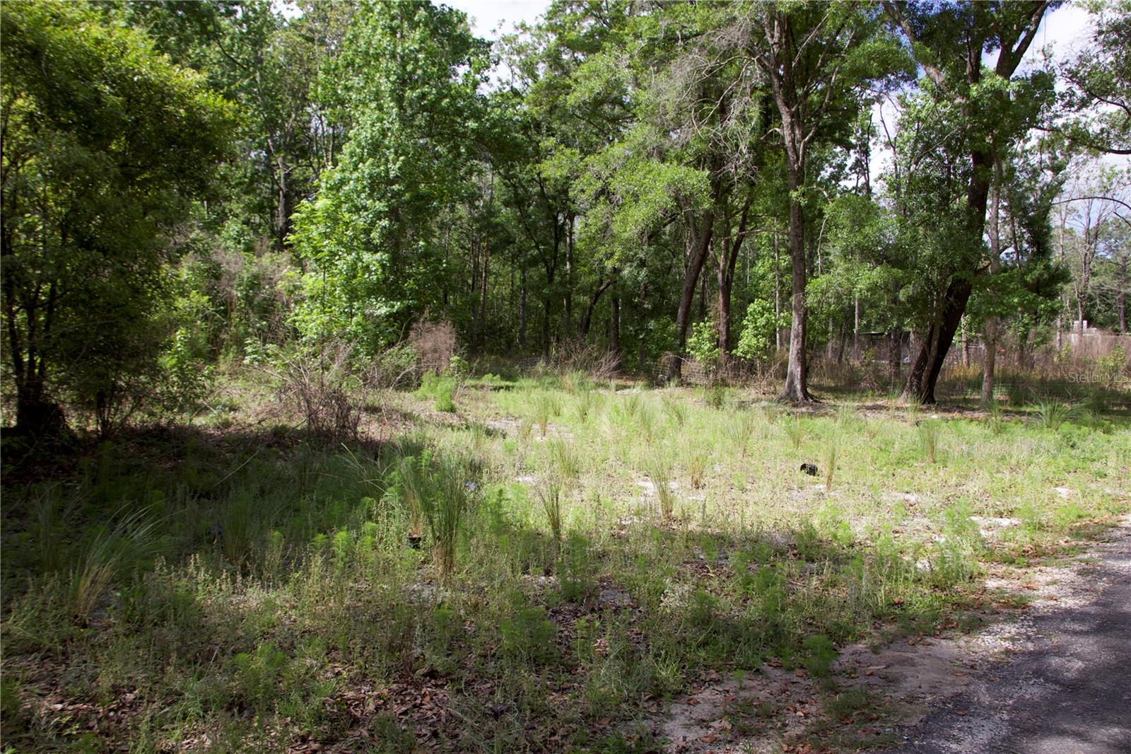 Image 12 of 41 For 1920 10th Street