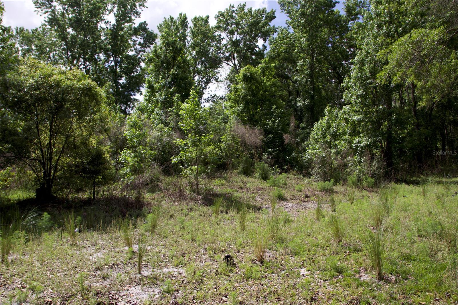 Image 13 of 41 For 1920 10th Street