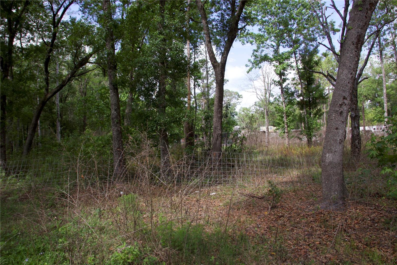 Image 14 of 41 For 1920 10th Street