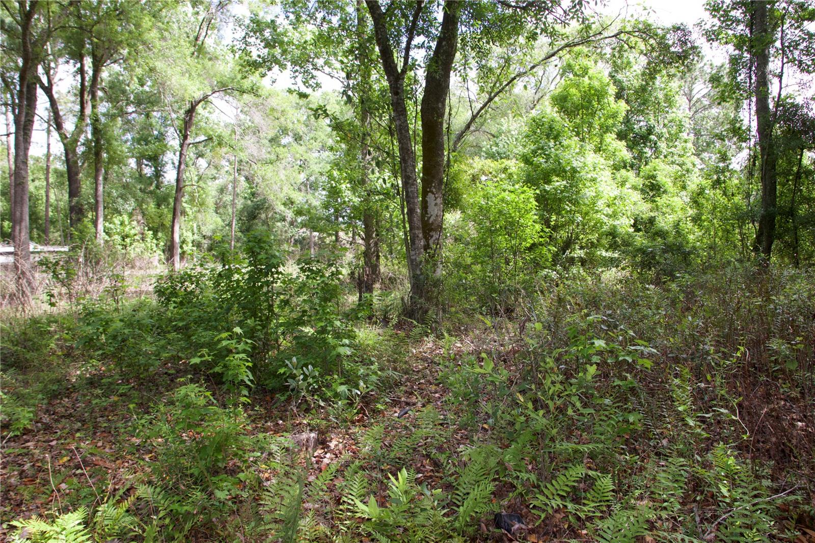 Image 17 of 41 For 1920 10th Street